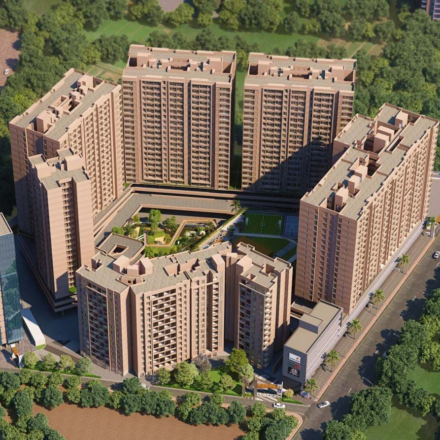 Basil Maximus — view 1